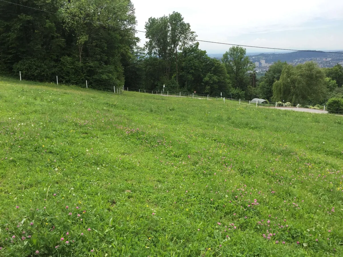 Reitplatz Melferergut vor der Errichtung