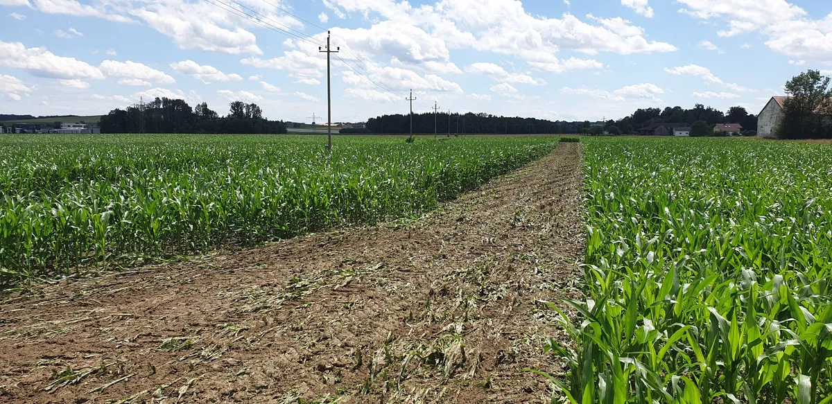 Erdarbeiten auf dem rund 120.000 m2 großen Areal