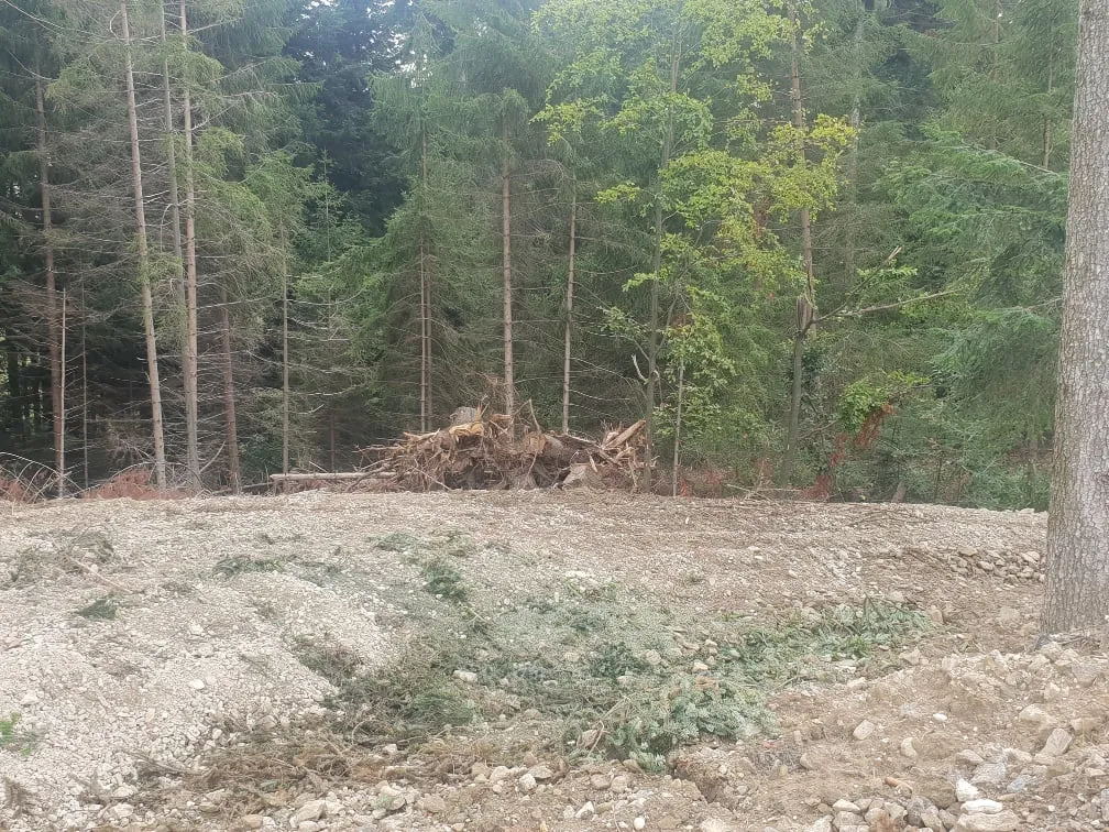 Neu errichteter Forstweg in Pfarrkirchen