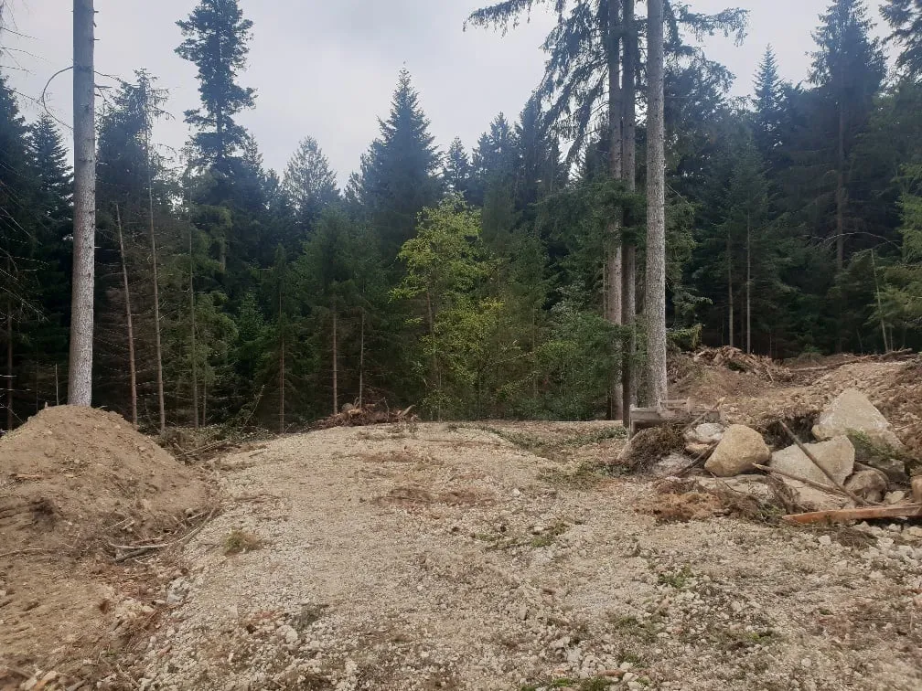Forstwirtschaftlicher Weg nach der Fertigstellung