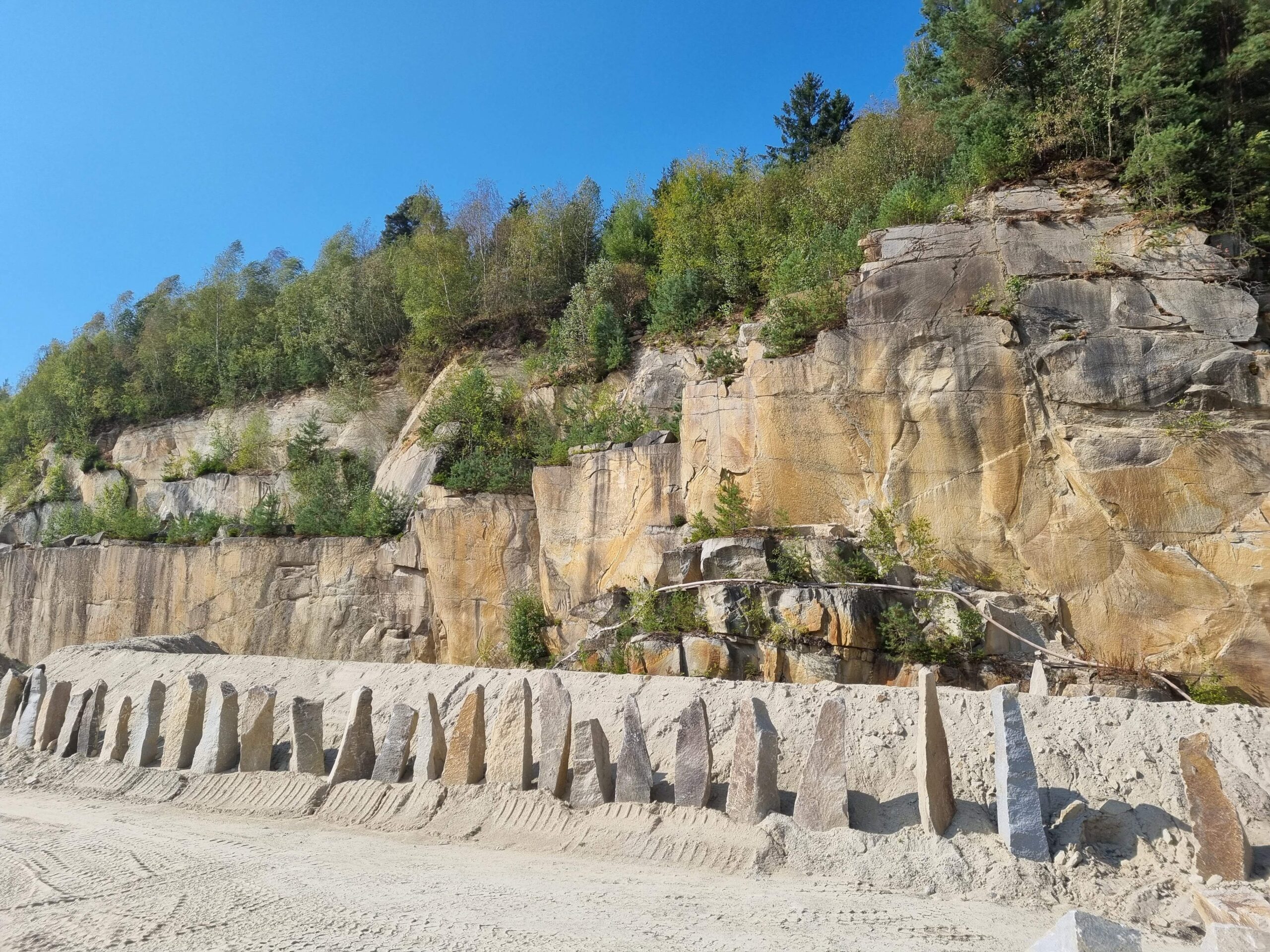 Findlinge Unikatsteine Steinbruch Winkl
